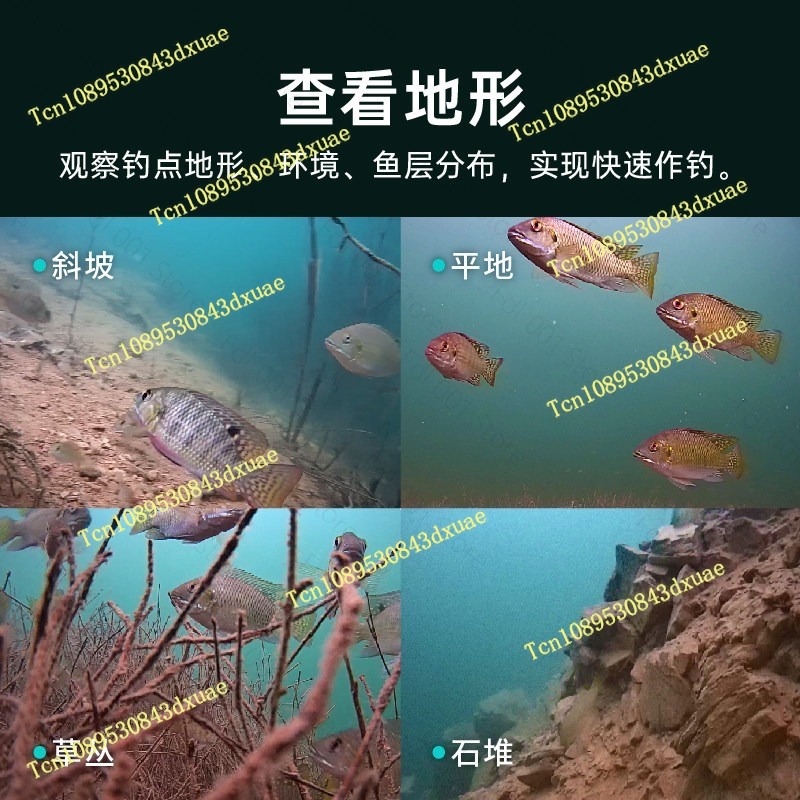 200M Gladius Minis Underwater  - đánh giá và giá Fishing Camera