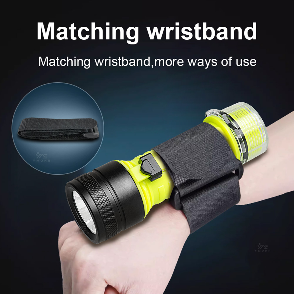 New Portable Professional LED  - đánh giá và giá Fishing Light